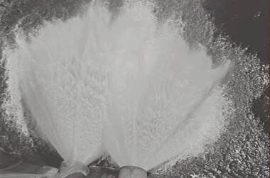 Negative - Lauriston - Reservoir, Allan Doney, 1950 -1970