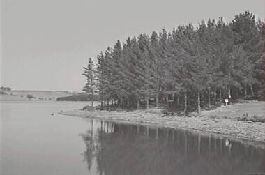 Negative - Lauriston - Reservoir, Allan Doney, 1950 -1970