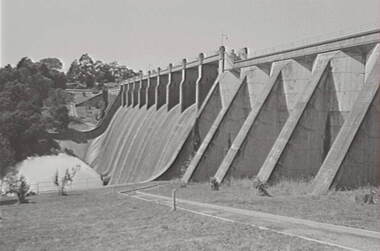 Negative - Lauriston - Reservoir, Allan Doney, 1950 -1970