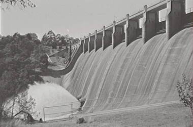 Negative - Lauriston - Reservoir, Allan Doney, 1950 -1970