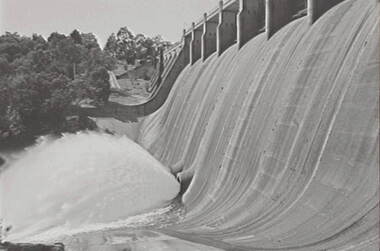 Negative - Lauriston - Reservoir, Allan Doney, 1950 -1970