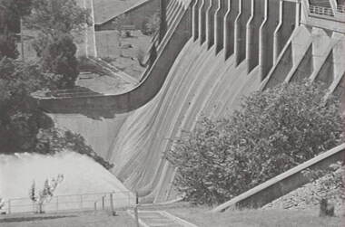 Negative - Lauriston - Reservoir, Allan Doney, 1950 -1970