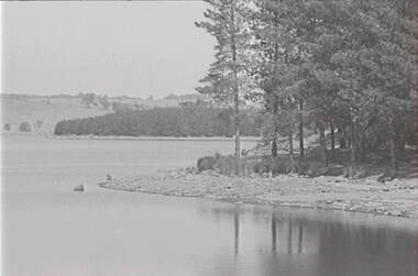 Negative - Lauriston - Reservoir, Allan Doney, 1950 -1970