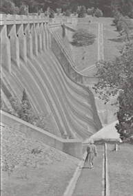 Negative - Lauriston - Reservoir, Allan Doney, 1950 -1970