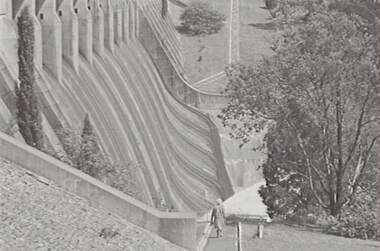 Negative - Lauriston - Reservoir, Allan Doney, 1950 -1970