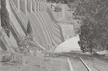 Negative - Lauriston - Reservoir, Allan Doney, 1950 -1970