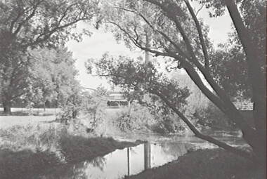 Negative - Castlemaine - Gardens - Benevolent Home, Allan Doney, 1950 -1970