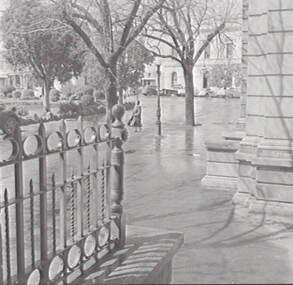 Negative - Town Hall Gardens - Bendigo, Allan Doney, 1950 -1970