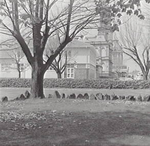 Negative - Town Hall Gardens - Bendigo, Allan Doney, 1950 -1970