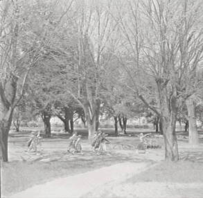 Negative - Rosalind Park Bendigo - Girls P E Group, Allan Doney, 1950 -1970