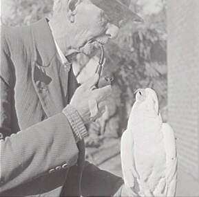 Negative - Oscar Flight and Bill - Cockatoo, Allan Doney, 1950 -1970