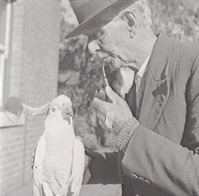 Negative - Oscar Flight and Bill - Cockatoo, Allan Doney, 1950 -1970