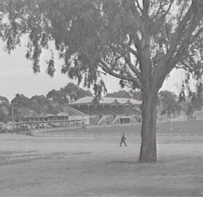 Negative - Queen Elizabeth Oval, Allan Doney, 1950 -1970