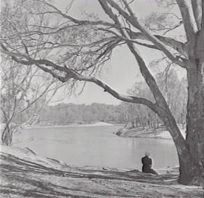 Negative - Murray River - Moama, Allan Doney, 1950 -1970