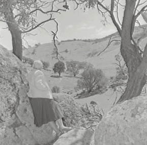 Negative - Tooborac - Rural Scene - Rocky Hills, Allan Doney, 1950 -1970