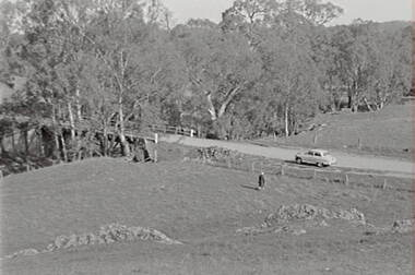 Negative - Rural Scene - Bridge, Allan Doney, 1950 -1970