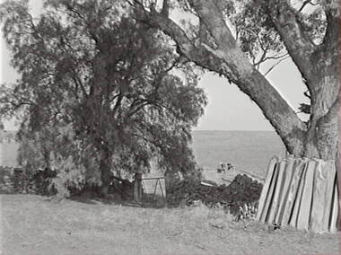 Negative - Rural Scene - Stone Fence, Allan Doney, 1950 -1970