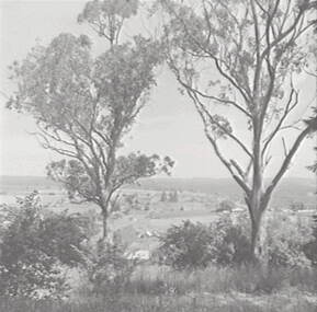 Negative - Wombat Hill - Daylesford, Allan Doney, 1950 -1970