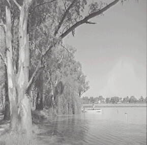 Negative - Lake Corop, Allan Doney, 1950 -1970