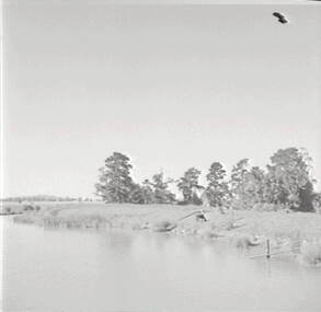 Negative - Lake Corop, Allan Doney, 1950 -1970