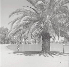 Negative - Lake Corop, Allan Doney, 1950 -1970