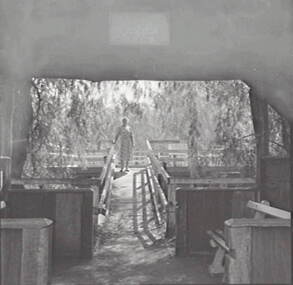 Negative - Lake Corop, Allan Doney, 1950 -1970