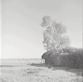 Negative - Corop, Allan Doney, 1950 -1970