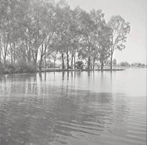 Negative - Lake Corop, Allan Doney, 1950 -1970