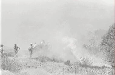 Negative - Fire Fighting, Allan Doney, 1950 -1970