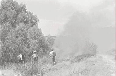 Negative - Fire Fighting, Allan Doney, 1950 -1970