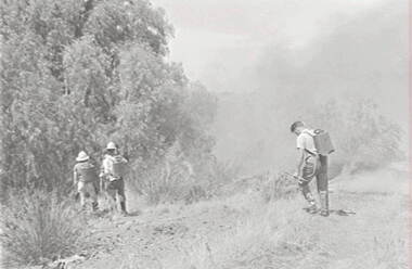 Negative - Fire Fighting, Allan Doney, 1950 -1970
