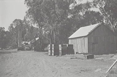 Negative - Murray Valley - Shed, Allan Doney, 1950 -1970