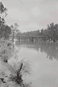 Negative - Bridge - Murray River, Allan Doney, 1950 -1970
