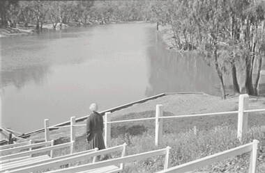 Negative - Murray River - Viewing Platform, Allan Doney, 1950 -1970