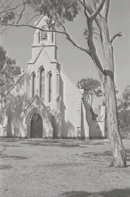 Negative - St Augustine's - Myers Flat, Allan Doney, 1950 -1970
