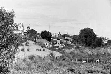Negative - Long Gully - Church - Sand Hills - Goats - Housing, Allan Doney, 1950 -1970