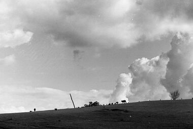 Negative - Farm - Sheep - Hills, Allan Doney, 1950 -1970
