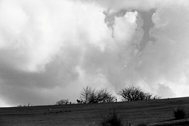 Negative - Farm - Sheep - Hills, Allan Doney, 1950 -1970