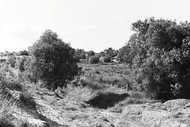 Negative - Long Gully - Sand Hills - Trees, Allan Doney, 1950 -1970