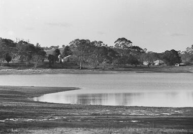 Negative - Farm - House - Trees, Allan Doney, 1950 -1970