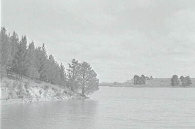 Negative - Malmsbury - Reservoir, Allan Doney, 1950 -1970