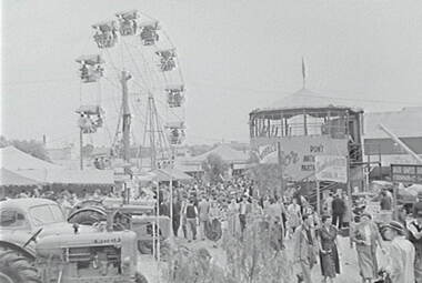 Negative - Bendigo Show 1954 - Tractor Display, Allan Doney, 1950 -1970
