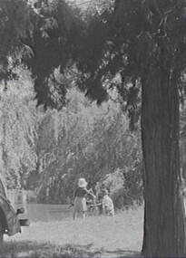 Negative - Weeroona, Allan Doney, 1950 -1970