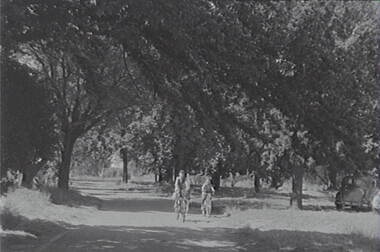 Negative - Weeroona, Allan Doney, 1950 -1970