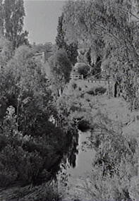 Negative - Vaughan, Allan Doney, 1950 -1970