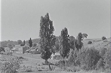 Negative - Vaughan, Allan Doney, 1950 -1970