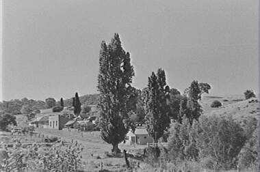 Negative - Vaughan, Allan Doney, 1950 -1970