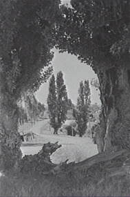 Negative - Vaughan, Allan Doney, 1950 -1970