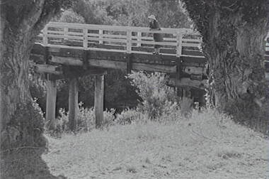 Negative - Vaughan - Bridge, Allan Doney, 1950 -1970