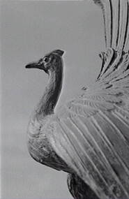 Negative - Bendigo Gold Monument - Lyre Bird, Allan Doney, 1950 -1970